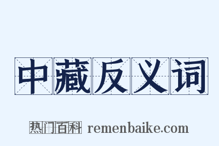 中藏反义词是什么意思的图片